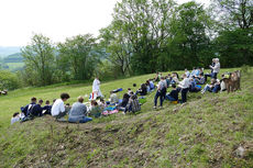 72 Stunden Aktion – auf dem Hasunger Berg (Foto: Karl-Franz Thiede)